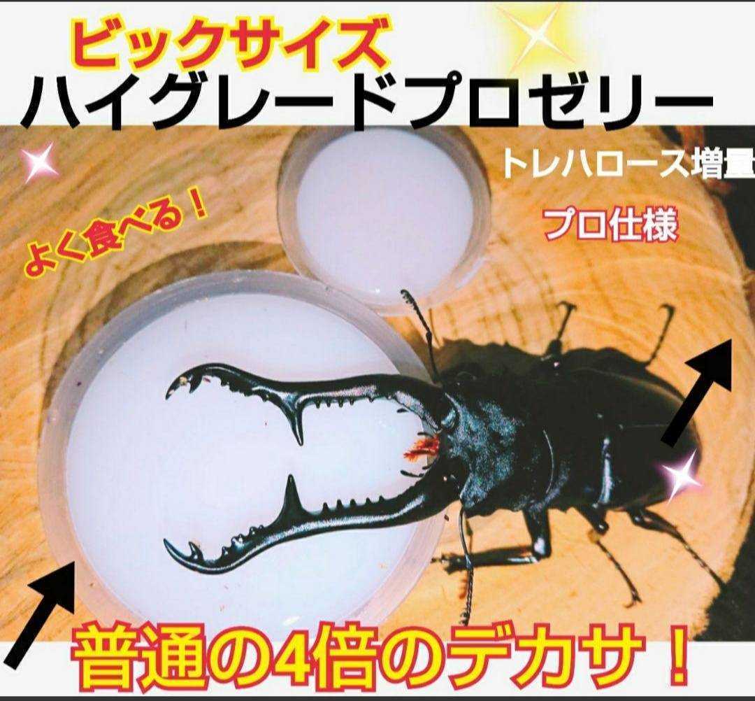 送料無料!ヘラクレスゼリー☆65g超ビッグサイズ!通常の4倍!成分に拘ったプロ仕様☆トレハロース増量!産卵促進・長寿・体力増進に!50個拍卖