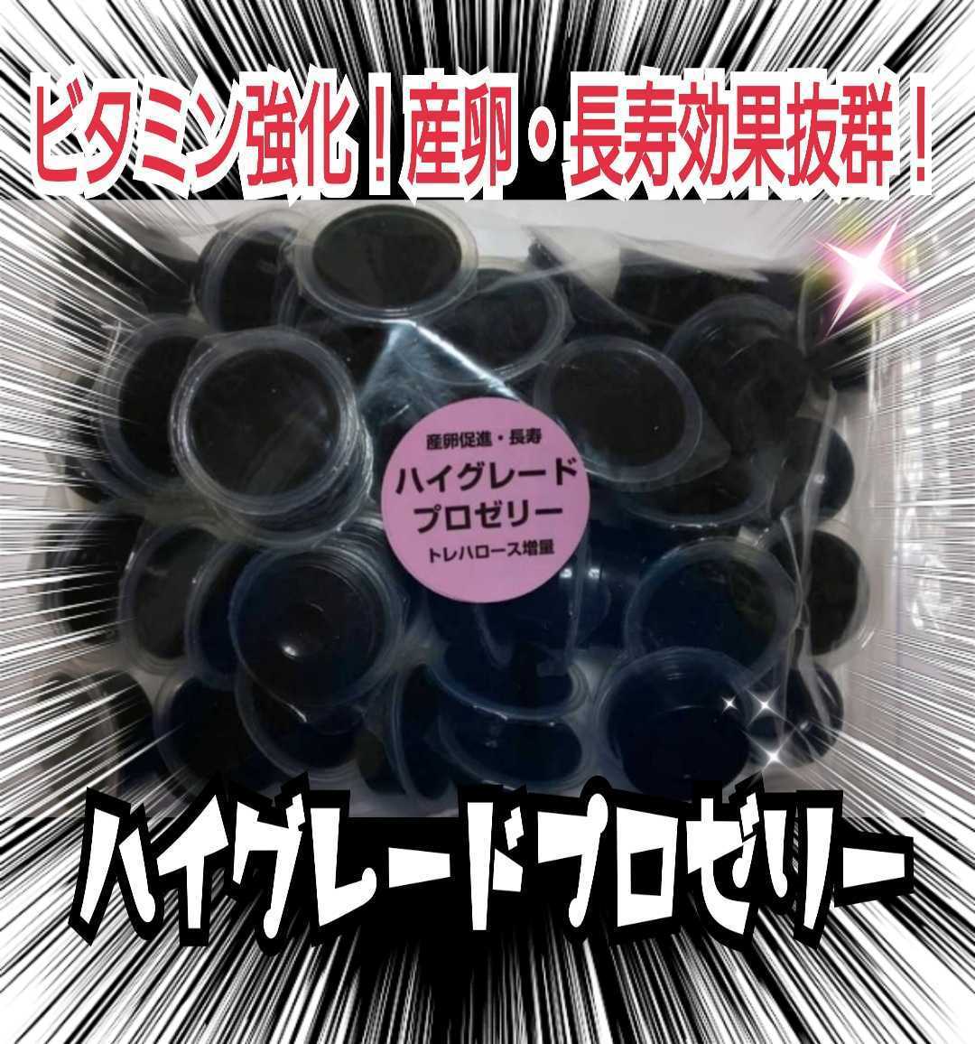 クワガタ、カブトムシの餌はコレ!ハイグレードプロゼリー【50個】食べやすいワイドカップ☆トレハロース強化!産卵促進、長寿効果抜群です拍卖