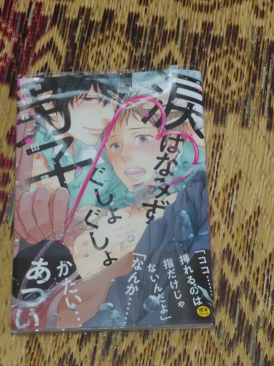 涙はなみずぐしょぐしょ男子  ねこ田米蔵  20第1刷発行  帯・クリアカバー付き拍卖