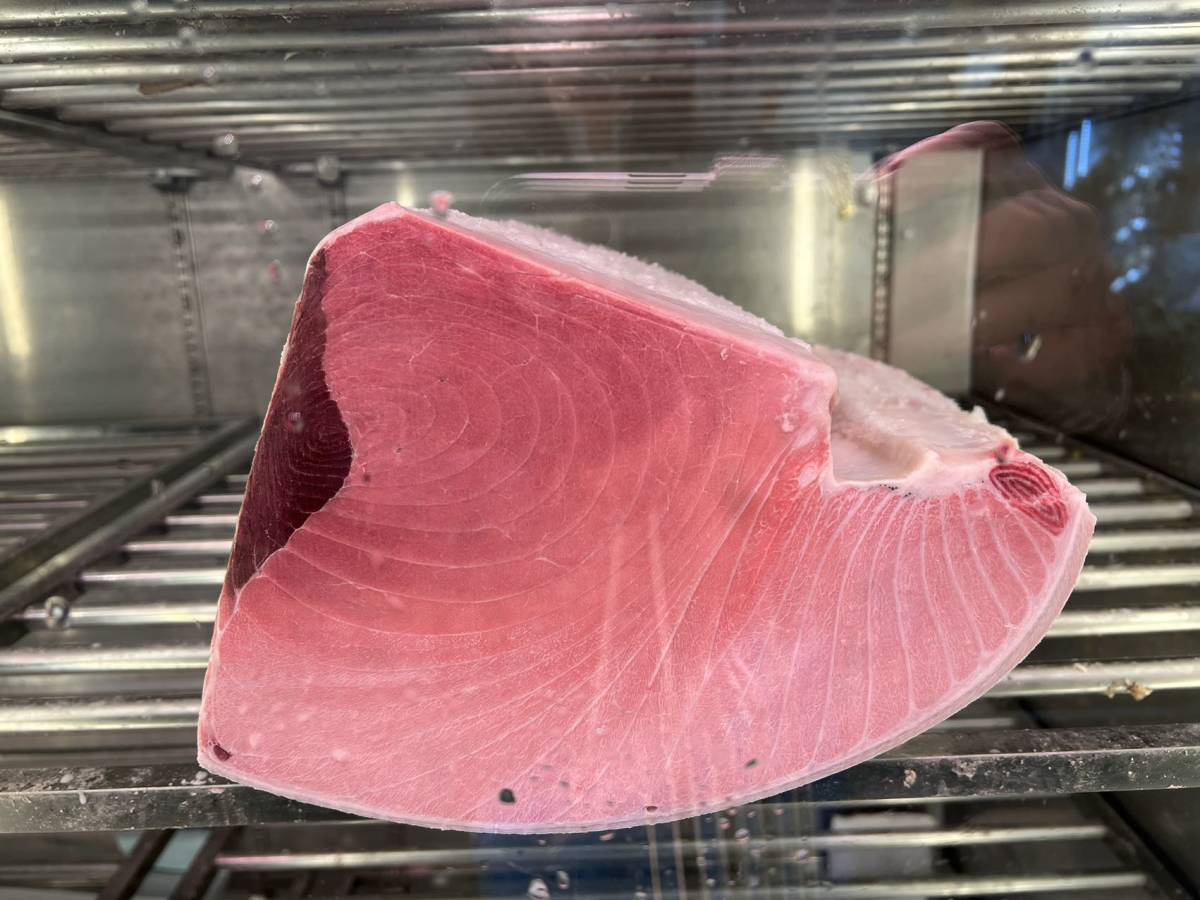 インドマグロ ブロック 約5kg いんどまぐろ 鮪 赤身魚 刺身 ねぎま鍋 塩焼き 唐揚げ ゆでる拍卖