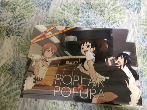 d235クリアファイル 高津カリノ WORKING 2 ポプラ コラボ特典 種島ぽぷら拍卖
