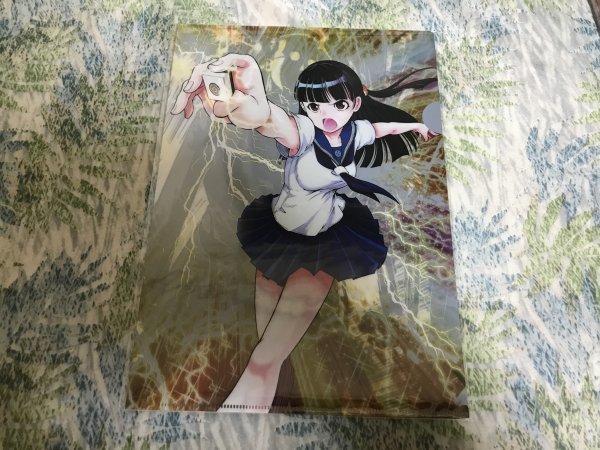 d233クリアファイル ムダヅモ無き改革 プリンセスオブジパング  メロンブックス購入特典 大和田秀樹拍卖