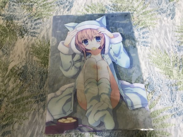 d235クリアファイル 七尾奈留 あいすとちょこ ぽてねこ拍卖