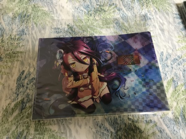 d233クリアファイル 劇場版 ノーゲーム・ノーライフ ゼロ コミックアライブ特典2拍卖