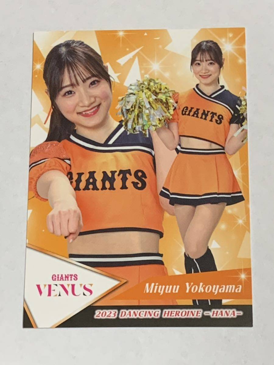 横山みゆう 2023 BBM チアリーダー 華 レギュラーカード 巨人 VENUS 即決拍卖