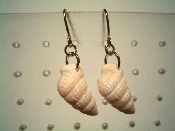貝殻ピアス拍卖