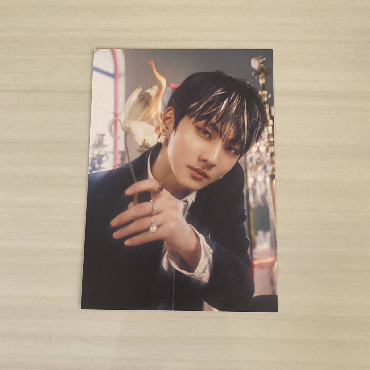 ENHYPEN エンハイフン エナプ DARK BLOOD ジョンウォン ポストカード ポスカ 送料無料 公式 封入拍卖