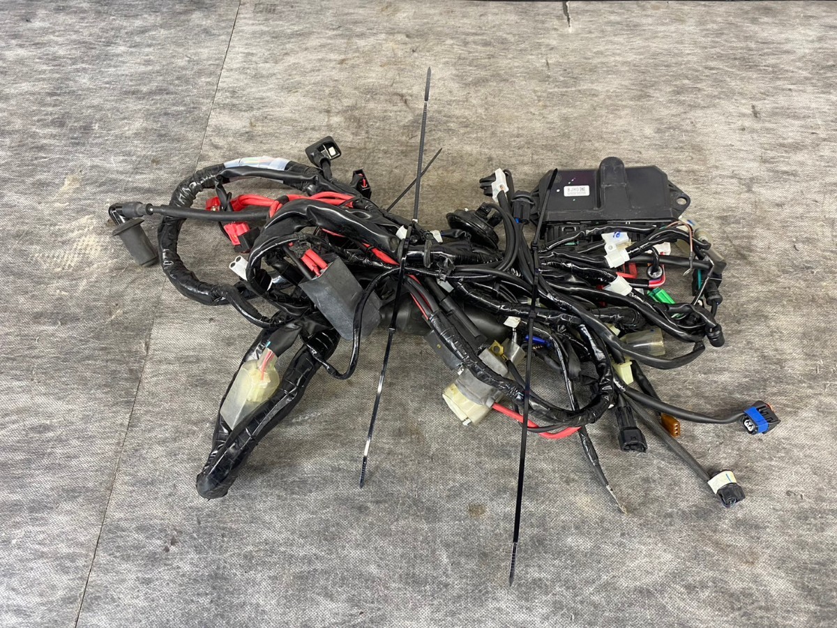 ヤマハ アクシスZ SEJ6J メインハーネス CDI 電装 コンピューター BJH-H2590-00 YAMAHA 純正 部品 パーツ拍卖