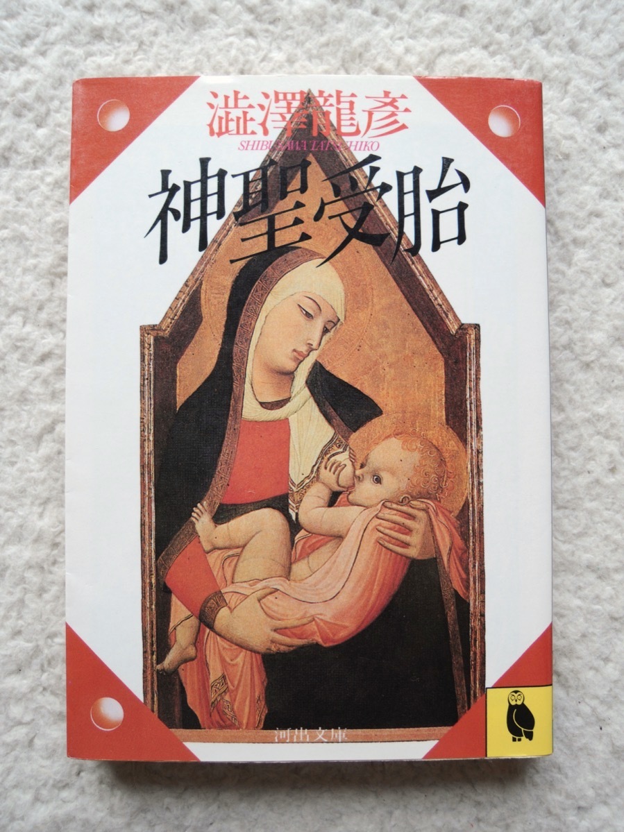 神聖受胎 (河出文庫) 澁澤龍彦拍卖
