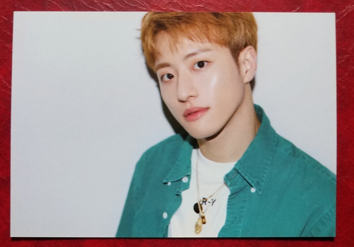 UNB ピルドク JAPAN 2nd CONCERT トレカ 即決 ツアー 会場限定 グッズ トレーディングカード FEELDOG BIGSTAR拍卖