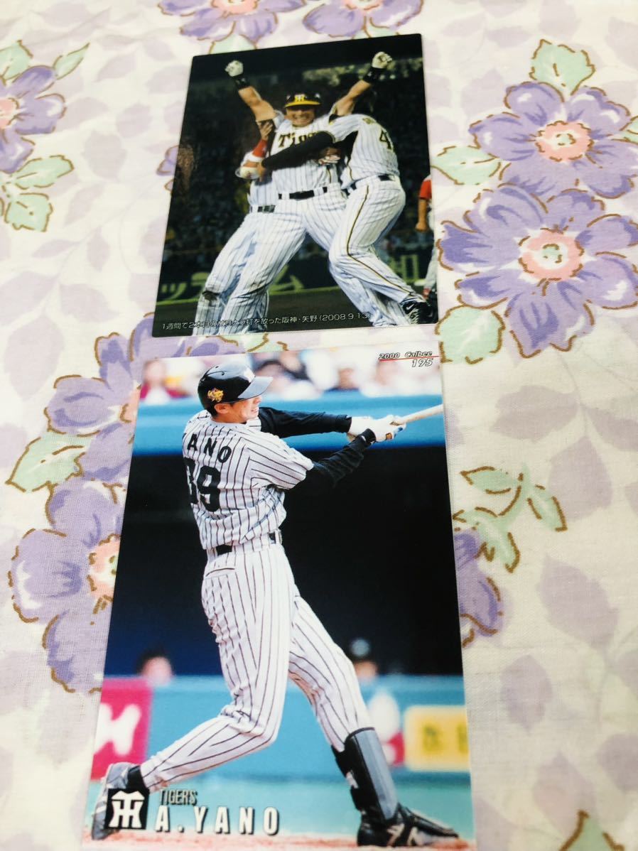カルビープロ野球チップスカード セット売り 阪神タイガース 矢野輝弘 矢野燿大拍卖