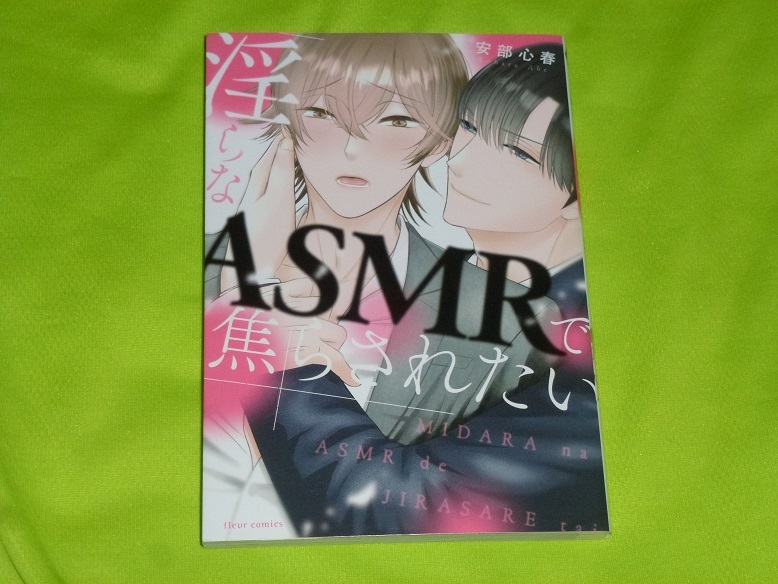 ★淫らなASMRで焦らされたい★安部小春★送料112円拍卖