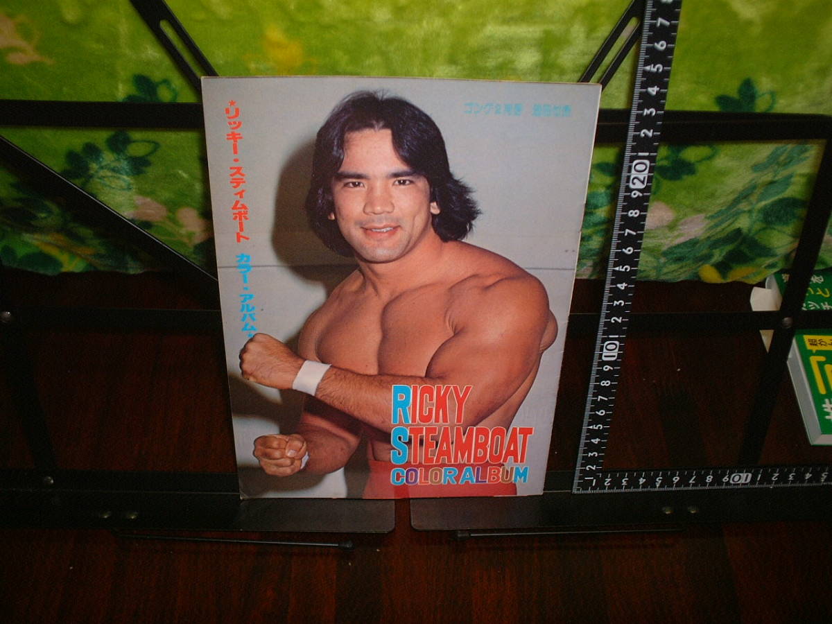 ゴング別冊付録 リッキー・スティムボート拍卖