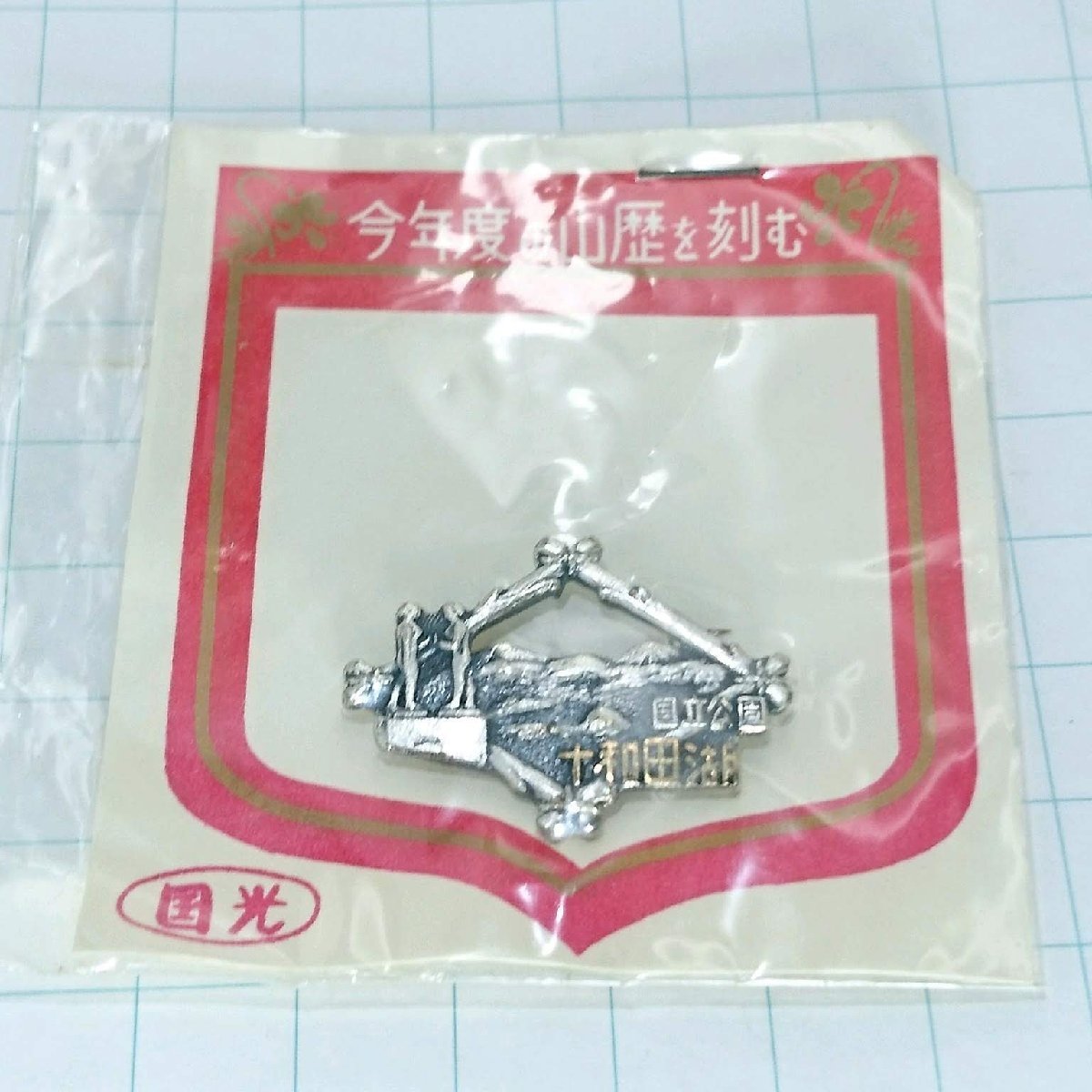 送料無料)未使用 十和田湖 ご当地 観光地 登山 山登り 旅行 記念 山バッジ ピンバッジ PINS ピンズ A19256拍卖