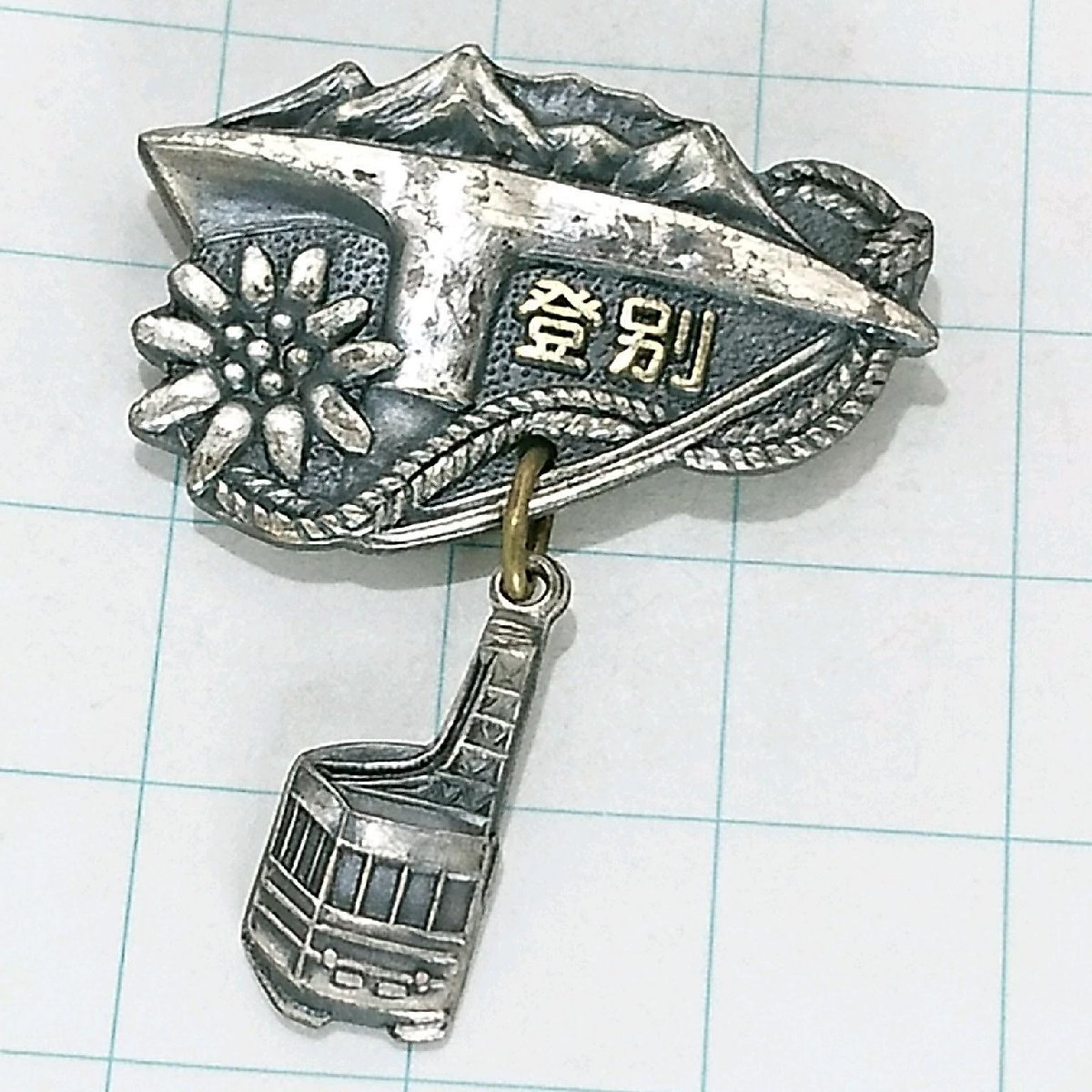 送料無料)登別 ご当地 観光地 登山 山登り 旅行 記念 山バッジ ピンバッジ PINS ピンズ A19415拍卖