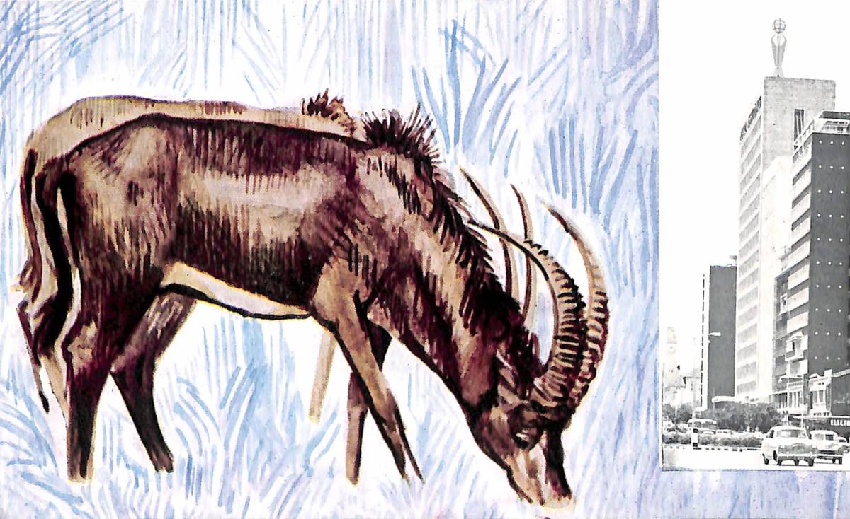 BCL★入手困難★ベリカード★SRBC・南ローデシア放送★アフリカ★ジンバブエ★1975年拍卖