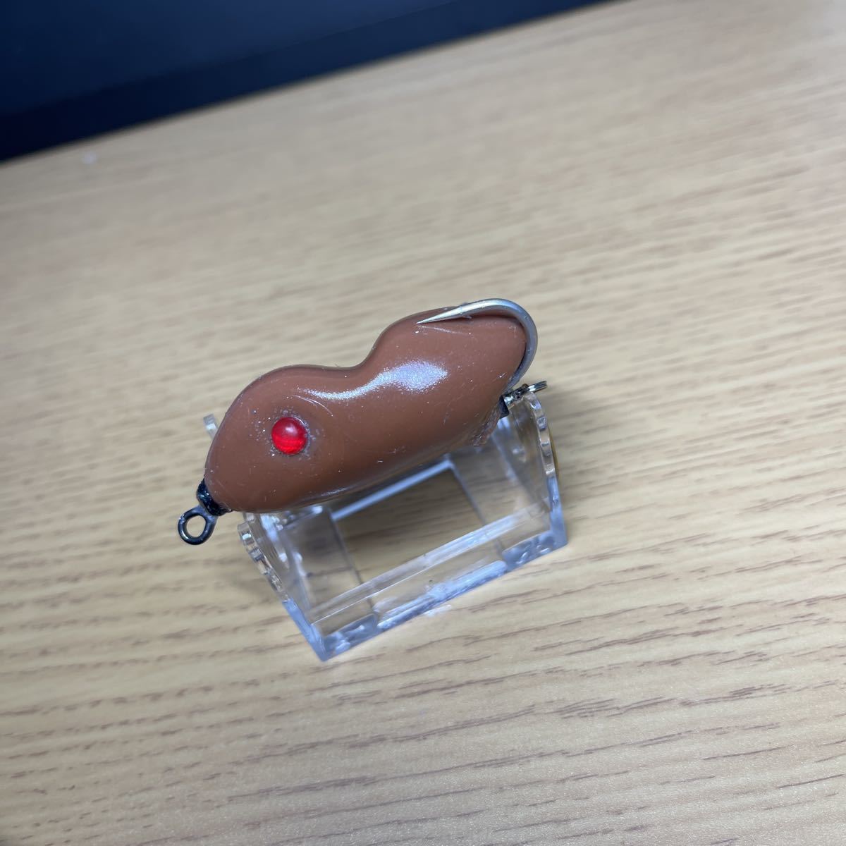 スカムフロッグ 約55mm (ID05410)拍卖