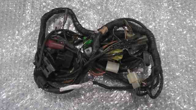 RGV250ガンマ VJ21A-1106xxx の メインハーネス *1693896296 中古拍卖