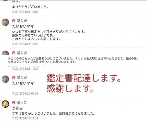 金運つく鑑定 悩み解決拍卖