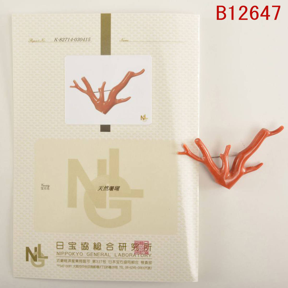 B12647 天然珊瑚 朱赤色ブローチ 証明書付:真作拍卖