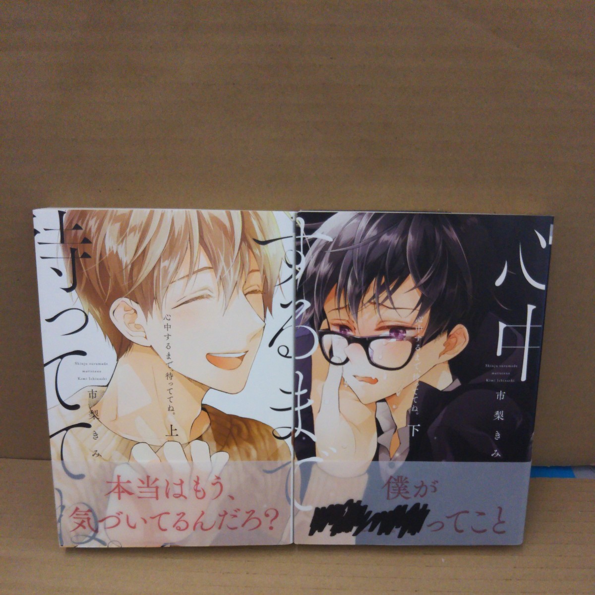 心中するまで、待っててね。 上下巻セット 市梨きみ BLコミック拍卖