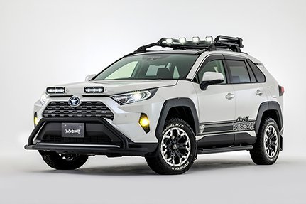 アヴァンツァーレ RAV4 MXAA54 AXAH54 サイドデカール AVANZARE拍卖