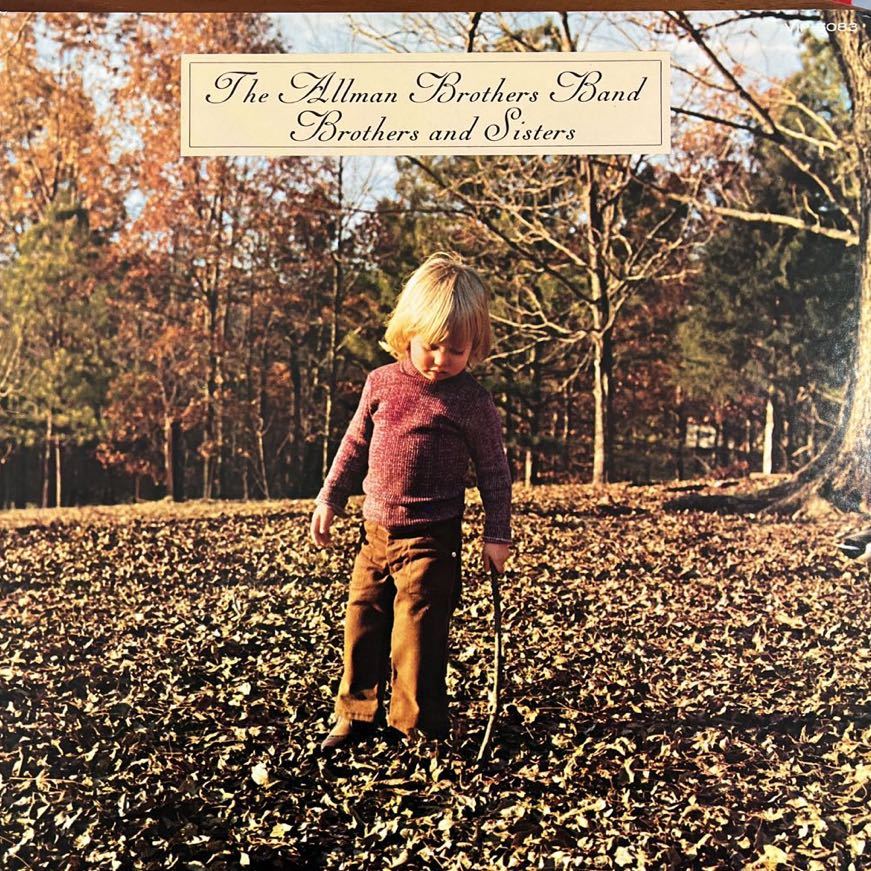 LP■ROCK/The Allman Brothers Band/Brothers And Sisters/VIP 5083/美盤/オールマン・ブラザーズ・バンド拍卖