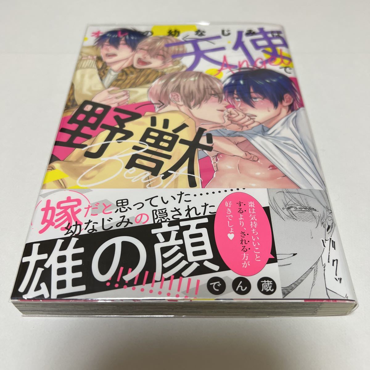 BL 3802 オレの幼なじみは天使で野獣…でん蔵拍卖