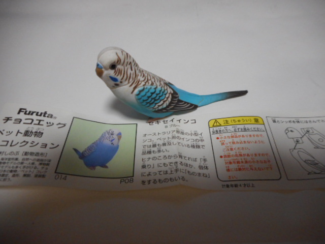 チョコエッグ ペット動物☆第1弾☆セキセイインコ(ブルー)☆14拍卖