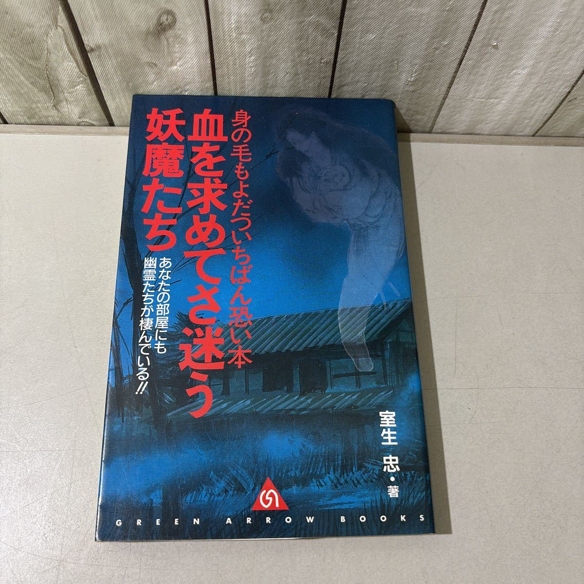 ●入手困難●血を求めてさ迷う妖魔たち 身の毛もよだついちばん恐い本/グリーンアロー・ブックス/室生忠/幽霊/オカルト/ホラー/怪奇★6278拍卖