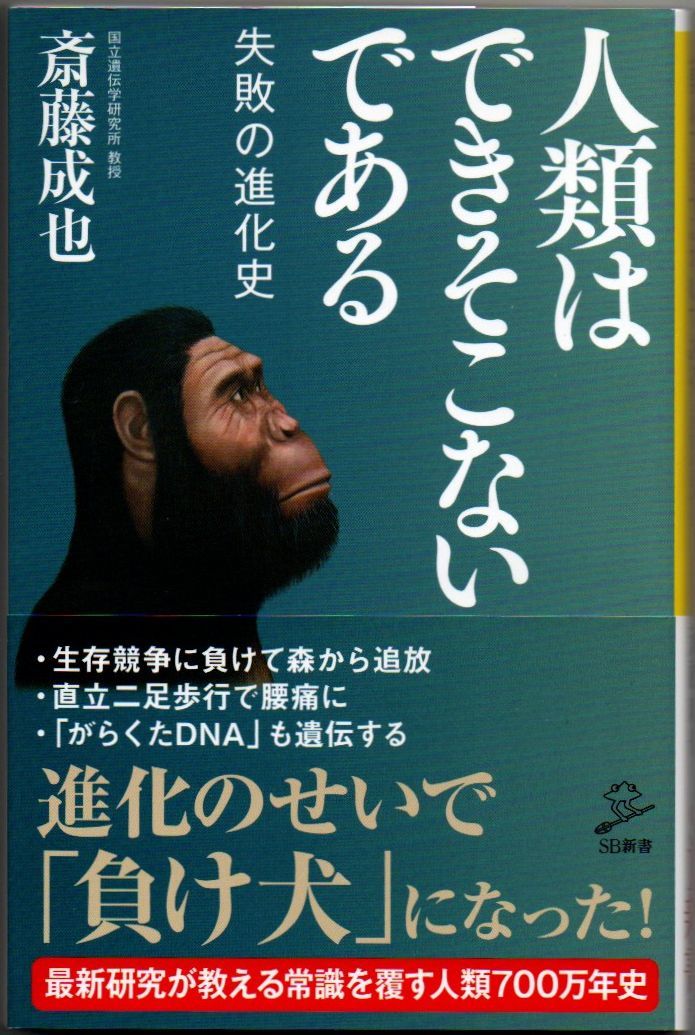 106* 人類はできそこないである 失敗の進化史 斎藤成也 SB新書拍卖