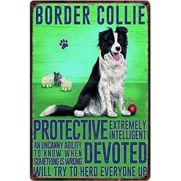 A1671 メタル サイン 金属 製 ブリキ 看板 プレート アート パネル 店 注意 動物 ペット 愛 犬 ボーダー コリー 【1153】拍卖