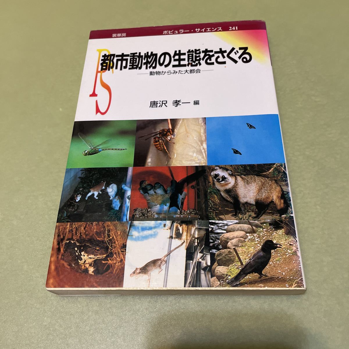 都市動物の生態をさぐる拍卖