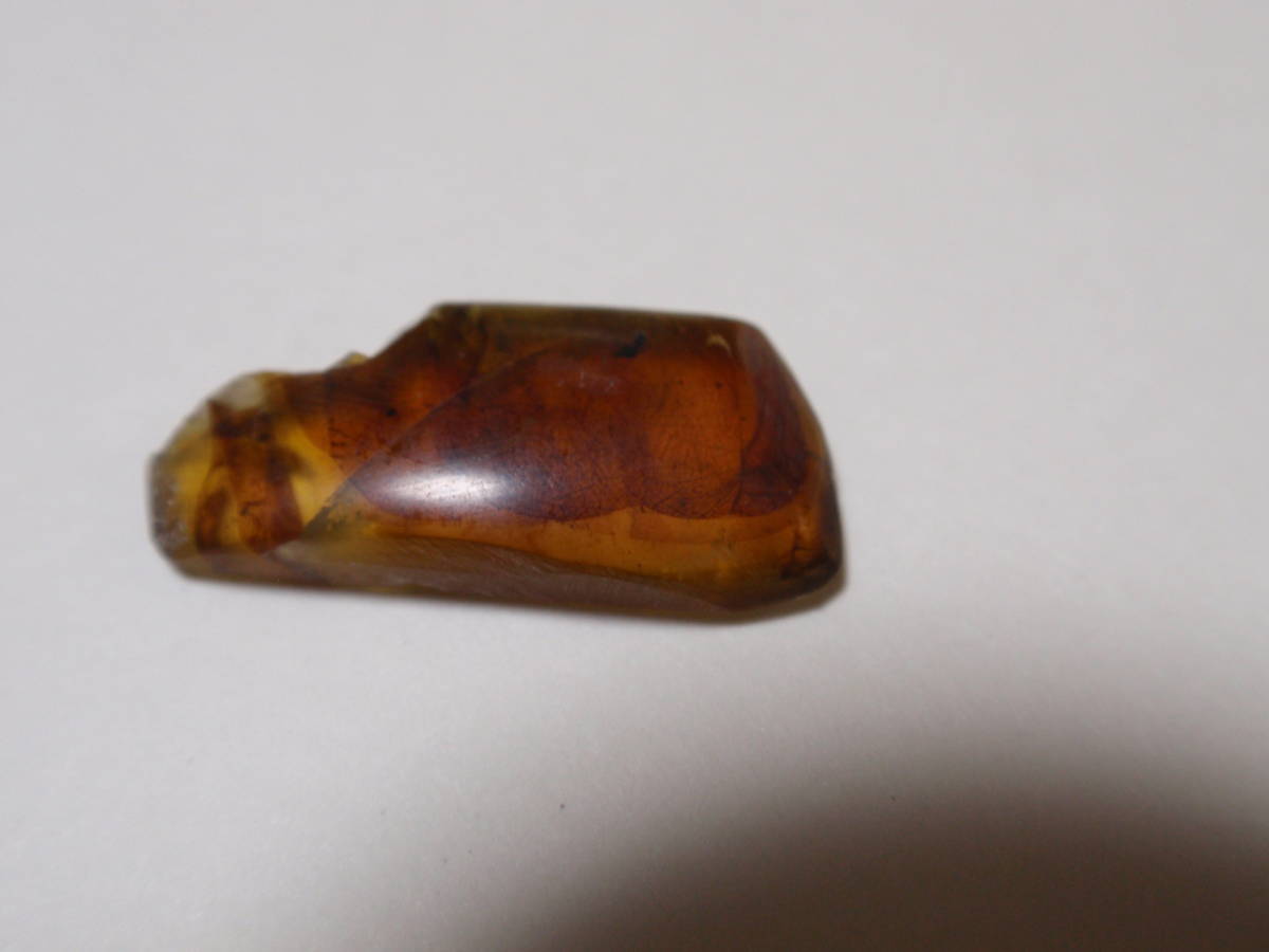 虫入り コハク 15×5×4mm拍卖