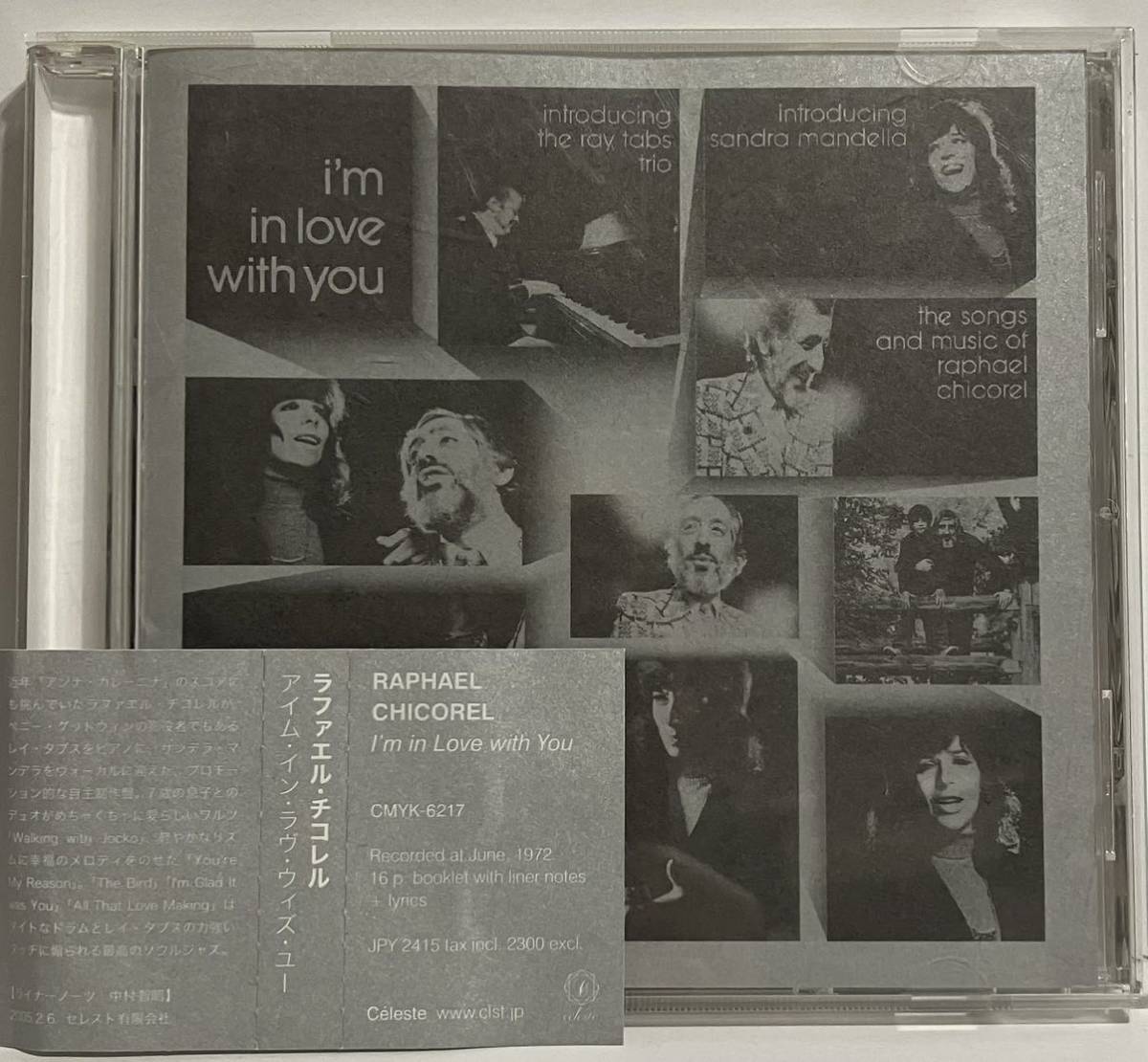 Raphael Chicorel I'm In Love With You サバービア ソフトロック拍卖