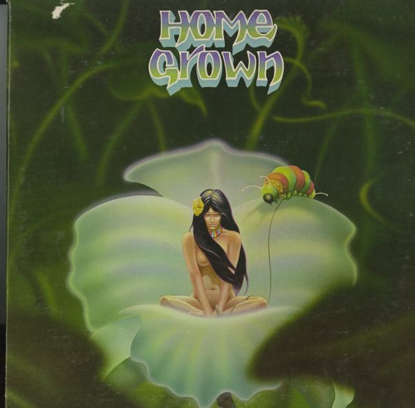 US76年プレスLP V.A. / Home Grown【KKUA Records】ハワイアン コンピ盤 ライトメロウ レアグルーヴ Country Living Hawaii拍卖