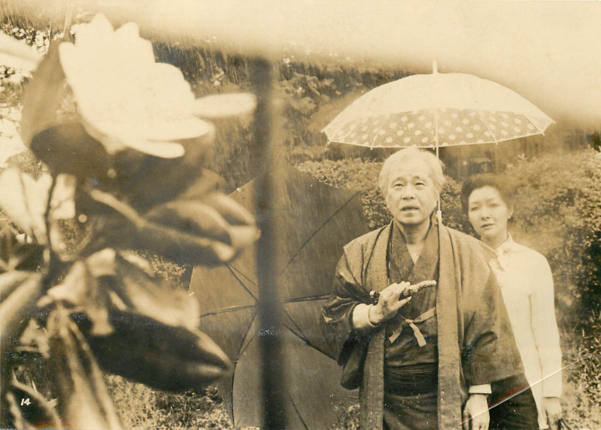 p36849『恍惚の人』スチル 高峰秀子 森繁久彌 田村高廣 乙羽信子 吉田日出子 杉葉子拍卖