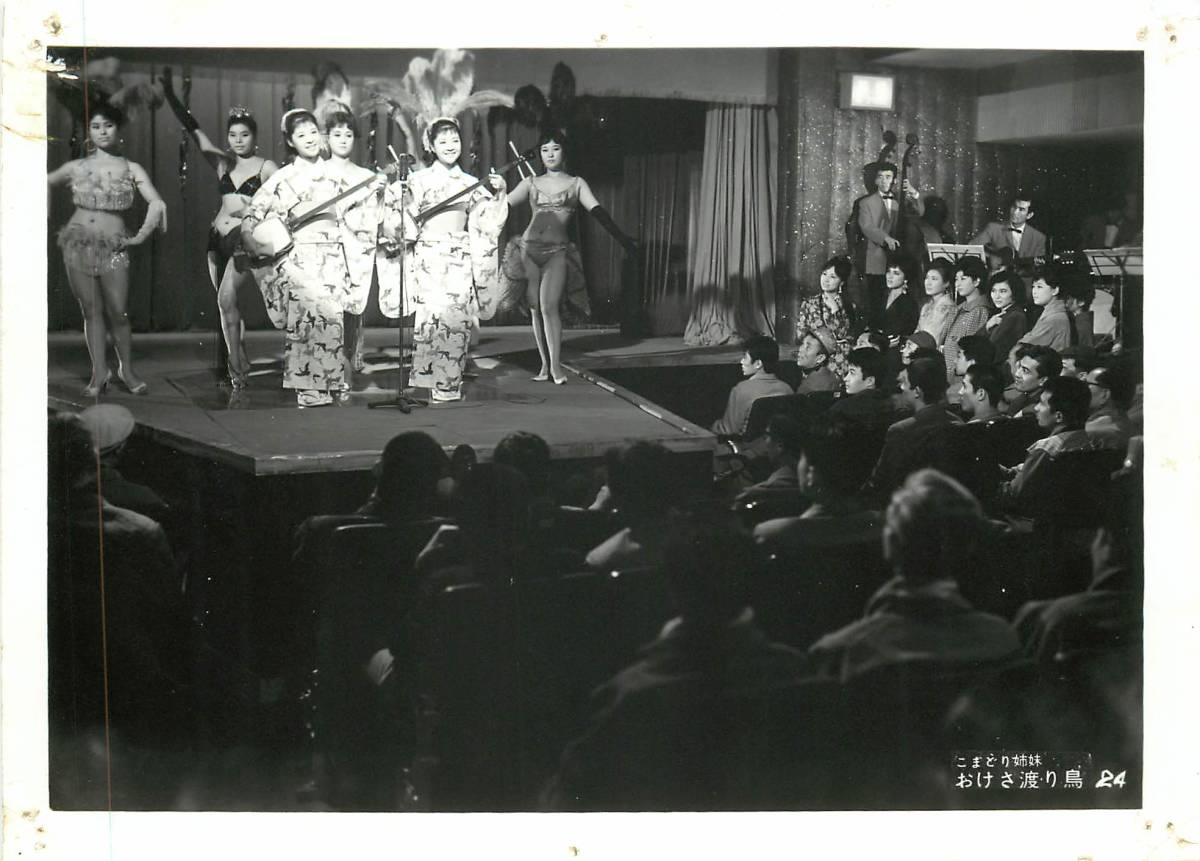 p37588『こまどり姉妹 おけさ渡り鳥』スチル こまどり姉妹 梅宮辰夫 木暮実千代 花沢徳衛拍卖