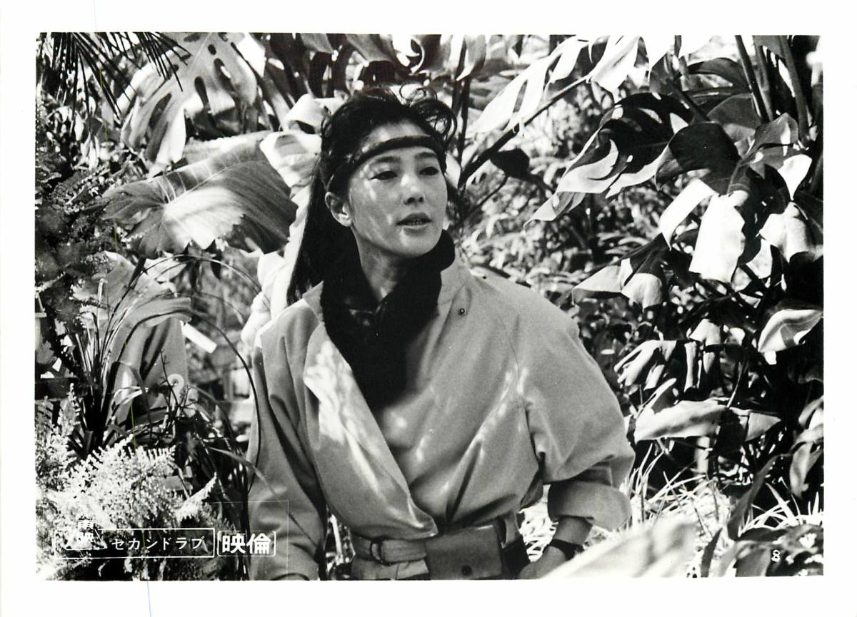 p37132『セカンド・ラブ』スチル 大原麗子 小林薫 アイ・ジョージ 中村れい子 東陽一 河原崎健三拍卖