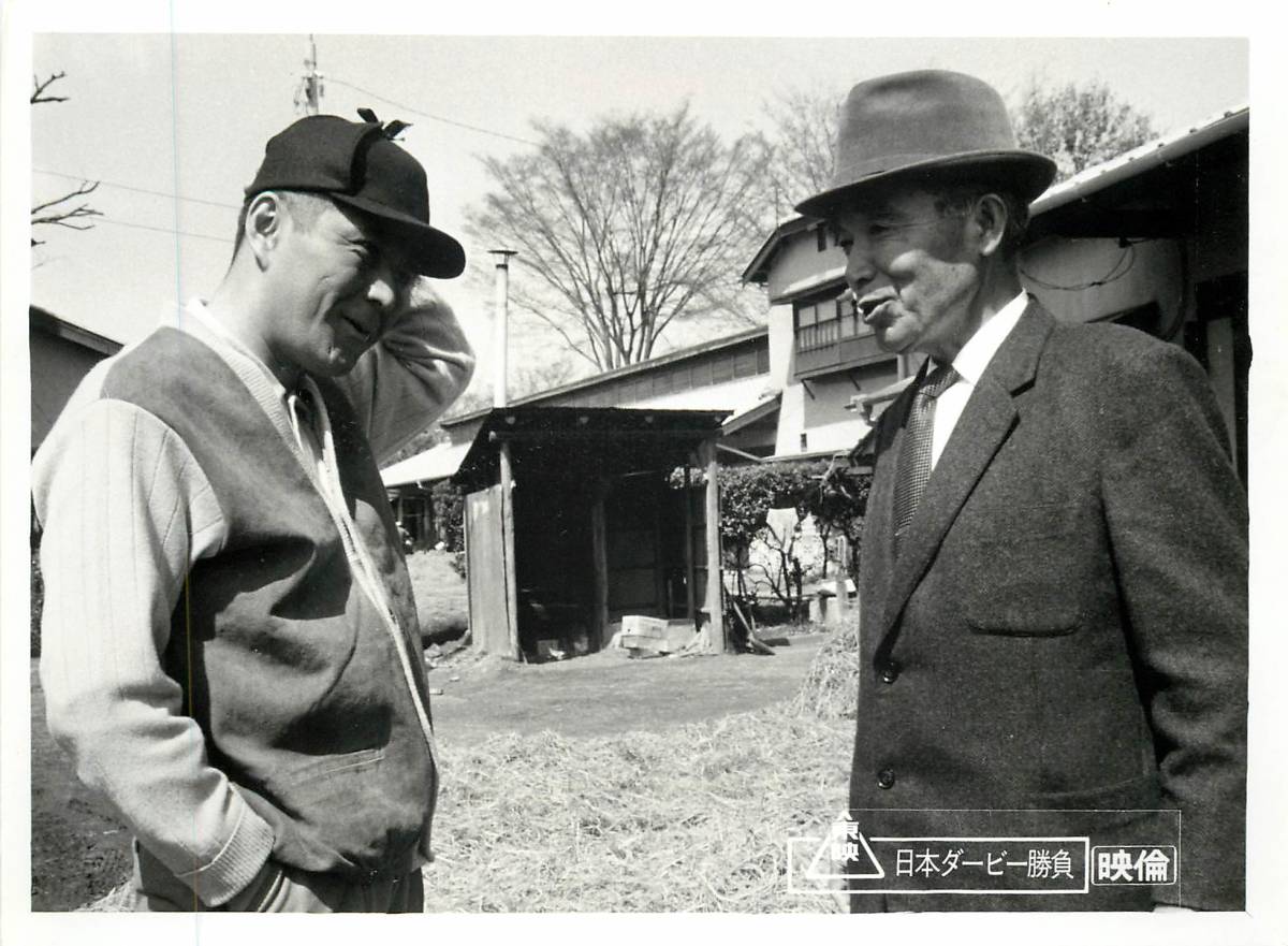 p37239『日本ダービー 勝負』スチル 高倉健 菅原文太 三橋達也 藤純子 梅宮辰夫 津島恵子拍卖