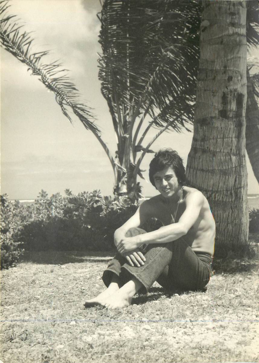 p36692『谷隼人』スナップ キイハンター アイフル大作戦 バーディー大作戦 網走番外地 不良番長 非情学園ワル拍卖