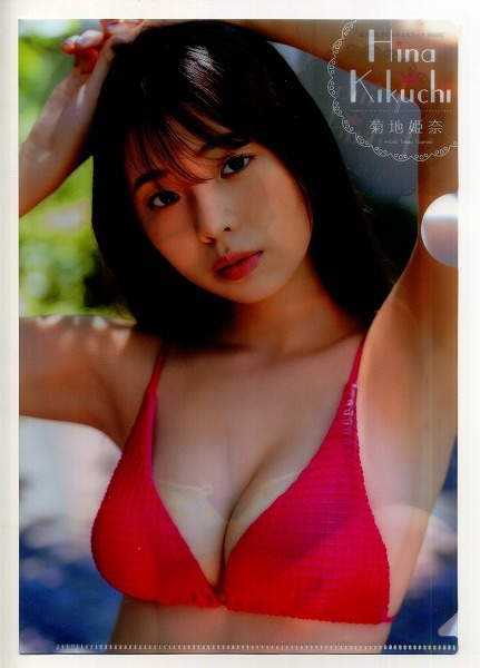 ヤングアニマル 2023年19号付録 菊地姫奈 クリアファイル拍卖