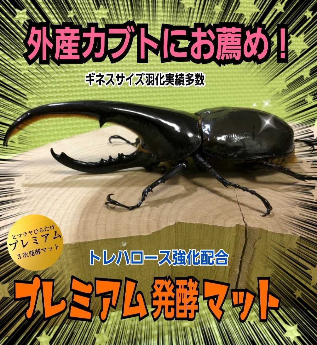 進化した!特選プレミアム3次発酵ヘラクレスマット☆微粒子☆特殊アミノ酸など栄養添加剤を3倍配合した究極のプロ仕様!産卵にも抜群です拍卖