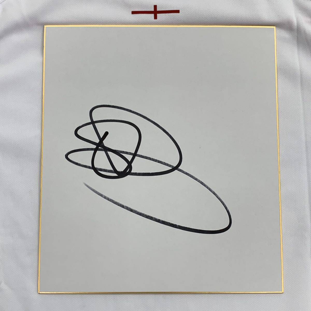 ラグビーワールドカップ2019イングランド代表 エリオット・デーリー選手のサイン入り色紙 ラグビーワールドカップ2023イングランド代表拍卖