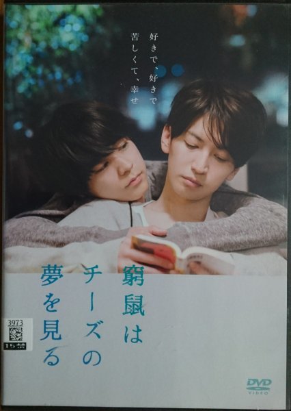 DVD R落/窮鼠はチーズの夢を見る/大倉忠義 成田凌拍卖