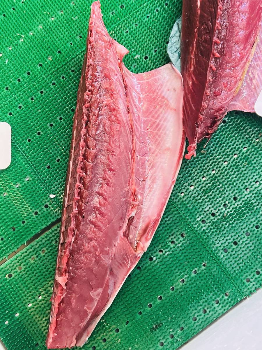 生カツオロイン 血合い抜き 約900g-1.3kg かつお 鰹拍卖