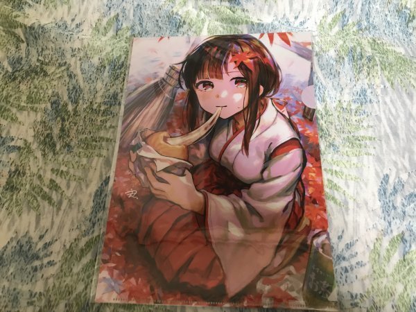 d233クリアファイル 天通  メロンブックス特典 巫女拍卖