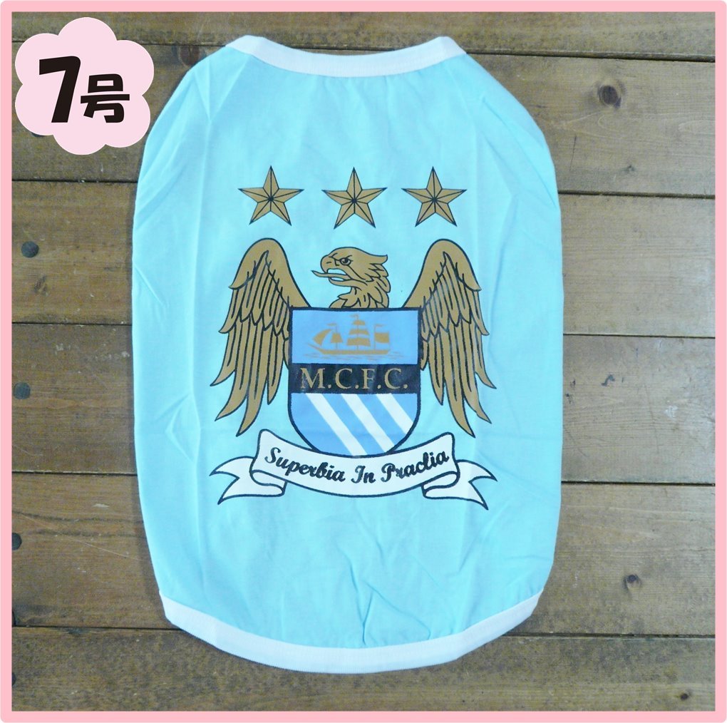 7号★送料無料・ネコポス便★中型犬 ワンT マチェスターシティ拍卖