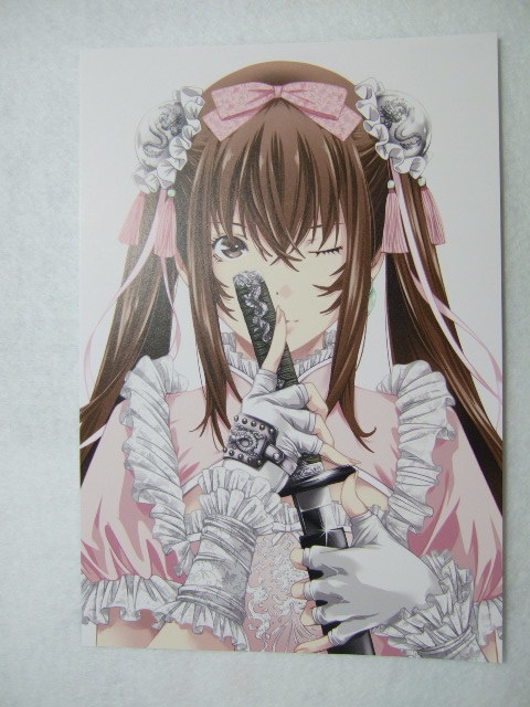 ワンダーグー 限定 真・一騎当千 5巻 ポストカード 231005 特典 WonderGOO 非売品 イラストカード イラストペーパー 塩崎雄二拍卖