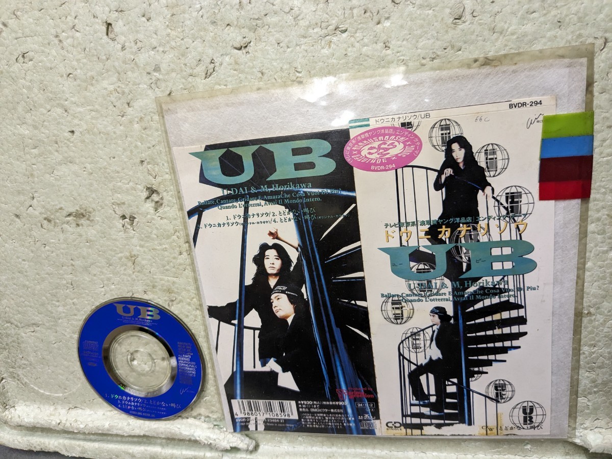 UB ドウニカナリソウ拍卖